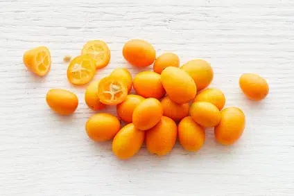 Bio Kumquats 250g Truebenecker