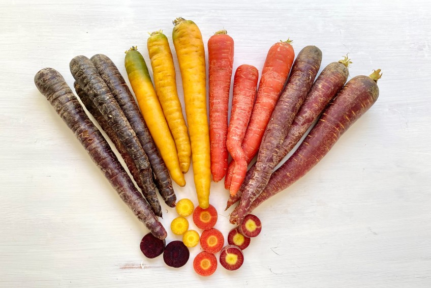 Bio Karotten bunt online bestellen | Trübenecker.de liefert Dir Bio Gemüse!