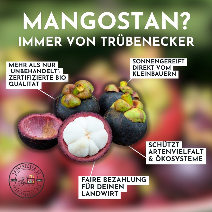 mangostan kaufen