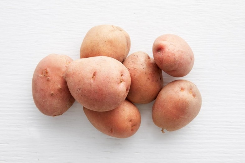 Trübenecker.de Dir liefert bestellen | Laura Gemüse Bio Kartoffel online Bio