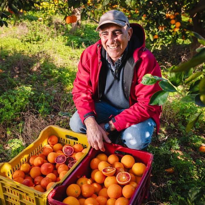 bio tarocco orangen kaufen