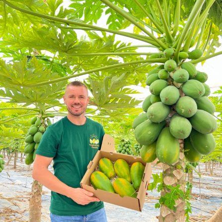 bio papayas kaufen