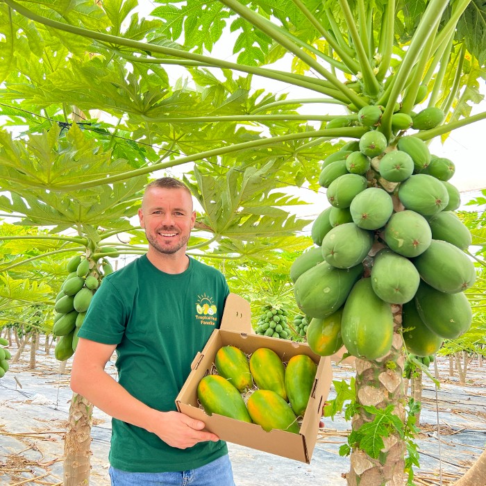 bio papayas kaufen