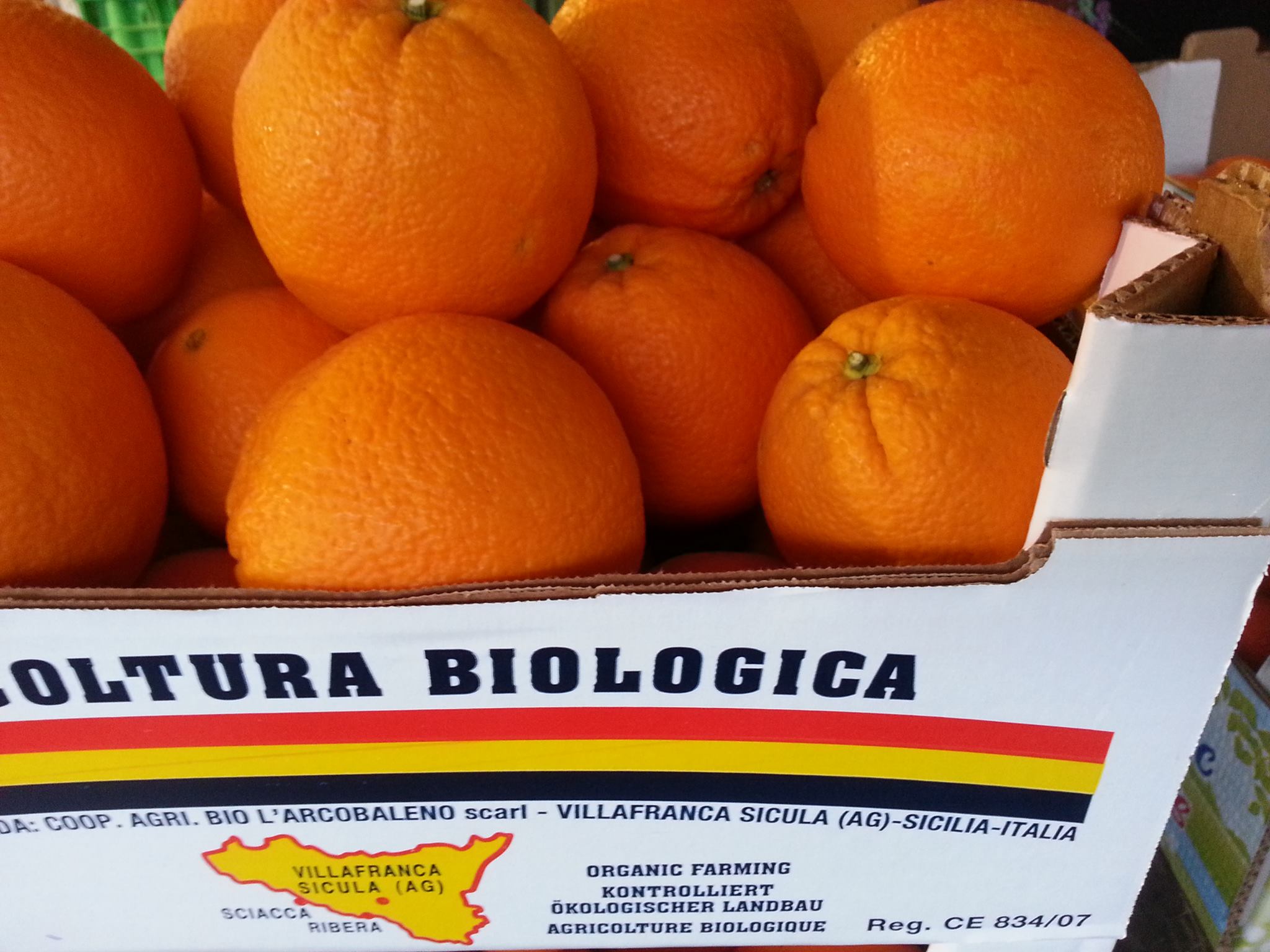 Bio Orangen \