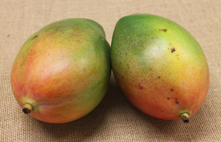 Mango "Keitt"