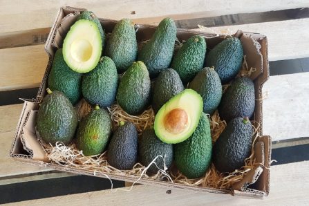 avocados direkt vom erzeuger kaufen