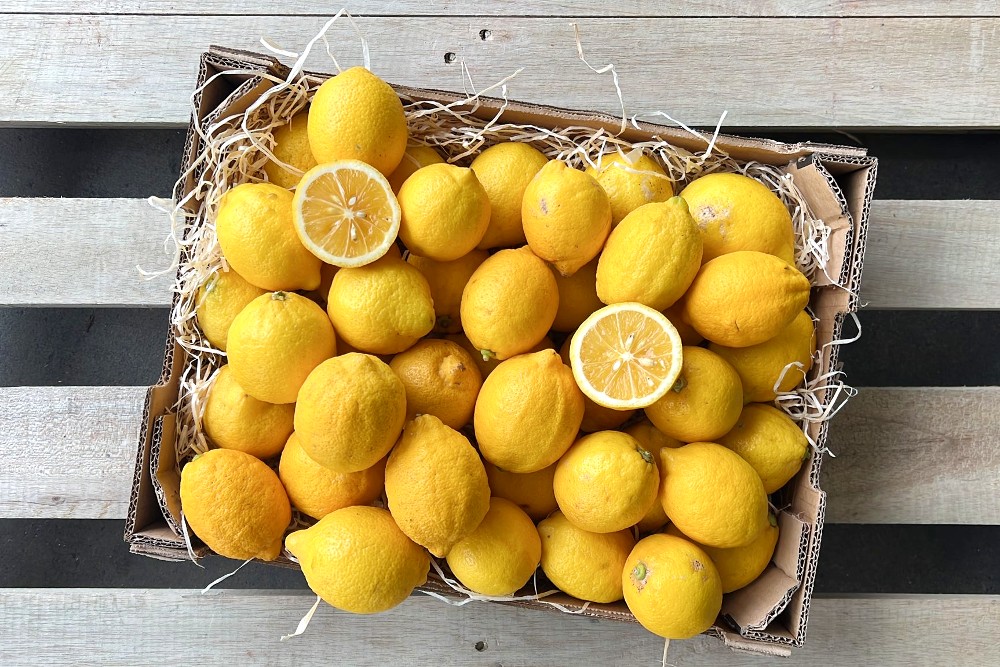Bio Zitronen kaufen | Trübenecker.de Dir liefert Bio Obst