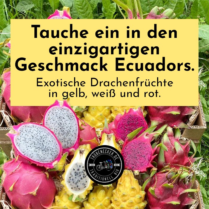 bio drachenfrucht pitaya kaufen