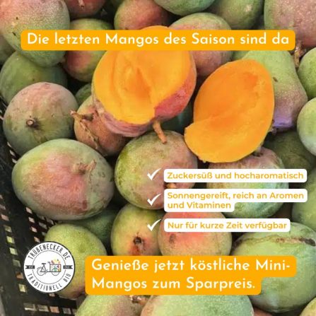 baby mangos kaufen