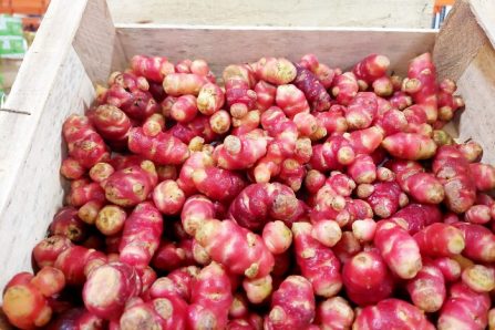 oca kaufen